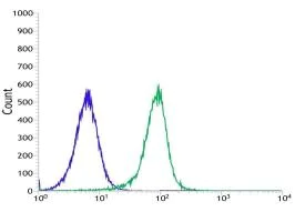 Flow Cytometry (Intracellular) - Anti-VPAC2 antibody [SP235] - BSA and Azide free (AB246352)