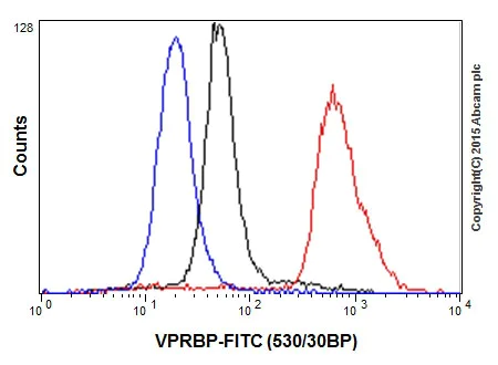 Flow Cytometry (Intracellular) - Anti-VPRBP antibody [EPR16012] - BSA and Azide free (AB251381)