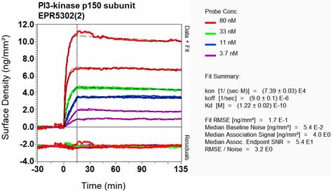 OI-RD Scanning - Anti-VPS15 antibody [EPR5302(2)] (AB128903), expandable thumbnail