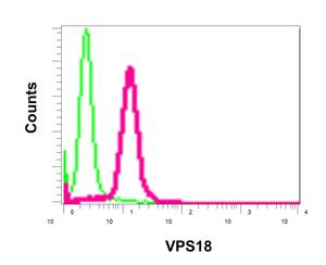 Flow Cytometry (Intracellular) - Anti-VPS18 antibody [EPR13378] - N-terminal (AB178416), expandable thumbnail