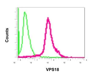 Flow Cytometry (Intracellular) - Anti-VPS18 antibody [EPR13379] - BSA and Azide free (AB250063)
