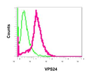 Flow Cytometry (Intracellular) - Anti-VPS24 antibody [EPR12821] - BSA and Azide free (AB249897), expandable thumbnail