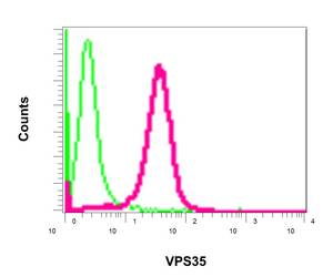 Flow Cytometry (Intracellular) - Anti-VPS35 antibody [EPR11501(B)] (ab157220), expandable thumbnail
