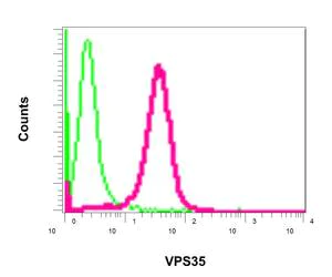 Flow Cytometry (Intracellular) - Anti-VPS35 antibody [EPR11501(B)] - BSA and Azide free (AB240141)