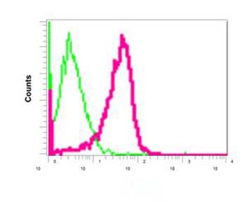Flow Cytometry (Intracellular) - Anti-VPS37C antibody [EPR9559] - BSA and Azide free (AB249065), expandable thumbnail