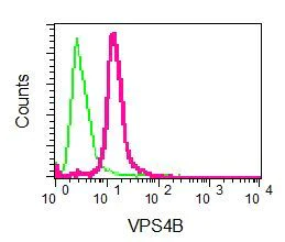 Flow Cytometry (Intracellular) - Anti-VPS4B/MIG1 antibody [EPR9225] (AB137027)