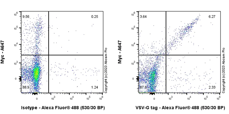Flow Cytometry (Intracellular) - Anti-VSV-G tag antibody [EPR28362-204] - BSA and Azide free (AB309107)