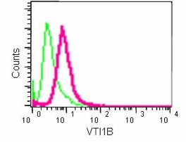 Flow Cytometry (Intracellular) - Anti-VTI1B antibody [EPR15506(B)] (AB184170), expandable thumbnail