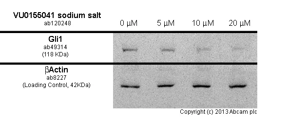 Functional Studies - VU0155041 sodium salt, PAM for mGluR4 (AB120248)