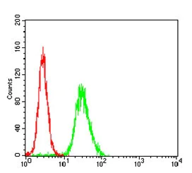 Flow Cytometry - Anti-WASP/Wiskott-Aldrich syndrome protein antibody [7B10E4] (AB202025)