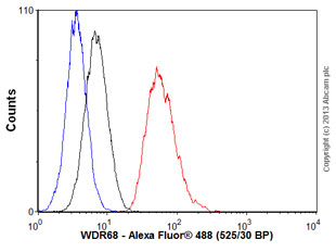 Flow Cytometry (Intracellular) - Anti-WDR68 antibody [EPR8712] - BSA and Azide free (AB248845), expandable thumbnail