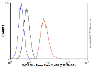 Flow Cytometry (Intracellular) - Anti-WDR68 antibody [EPR8712] - BSA and Azide free (AB248845)