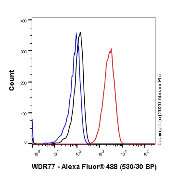 Flow Cytometry (Intracellular) - Anti-WDR77 antibody [EPR10708(B)] - BSA and Azide free (AB249087)