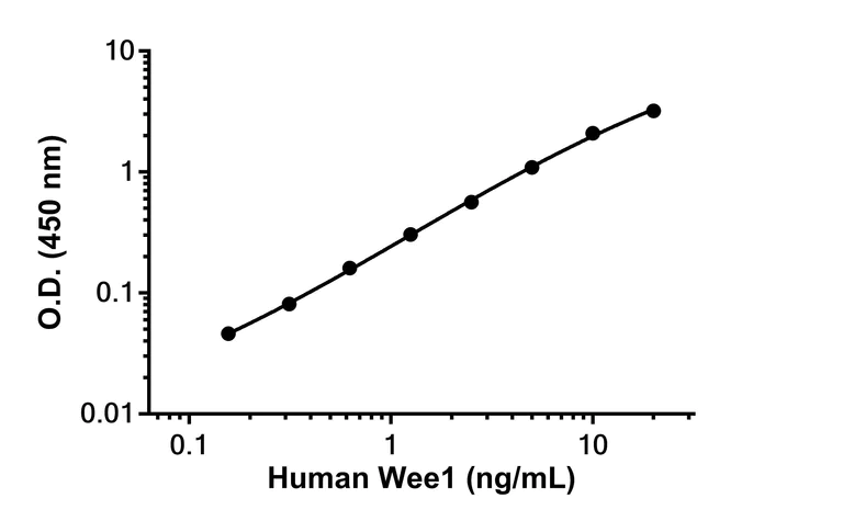 Sandwich ELISA - Anti-Wee1 antibody [EPR25070-91] - BSA and Azide free (Capture) (AB313807)