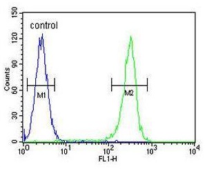 Flow Cytometry (Intracellular) - Anti-Werner's syndrome helicase WRN antibody (AB230851), expandable thumbnail