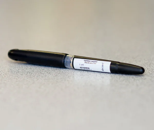 Western blot - Western Blot Marker Pen (AB166858)