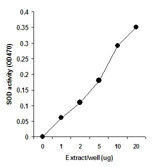 Functional Studies - Whole Cell Extraction Kit (AB113475)