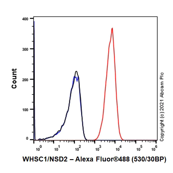 Flow Cytometry (Intracellular) - Anti-WHSC1/NSD2 antibody [EPR23777-107] - BSA and Azide free (AB283584)