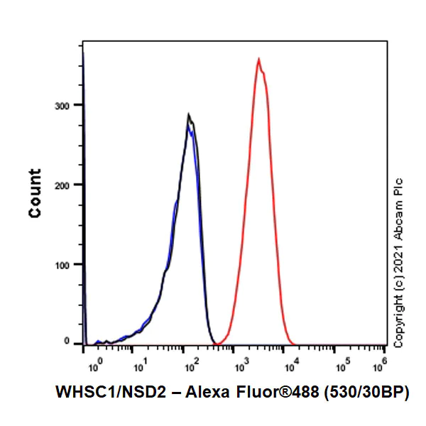 Flow Cytometry (Intracellular) - Anti-WHSC1/NSD2 antibody [EPR23777-107] - BSA and Azide free (AB283584)