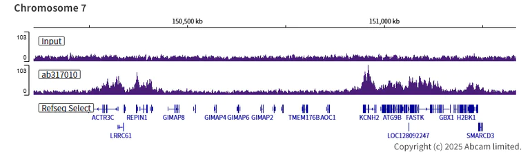 ChIP-sequencing - Anti-WHSC1/NSD2 antibody [EPR23777-95] (AB317010)
