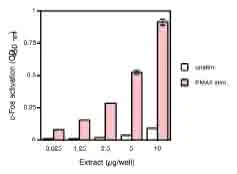 Functional Studies - WI-38 nuclear extract lysate (AB14911)