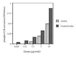 Functional Studies - WI-38 nuclear extract lysate (forskolin stimulated) (AB14912)