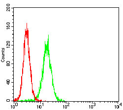 Flow Cytometry - Anti-Wilms Tumor Protein antibody [5G11A5] (AB201948), expandable thumbnail