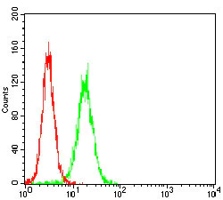 Flow Cytometry - Anti-Wilms Tumor Protein antibody [5G11A5] (AB201948)