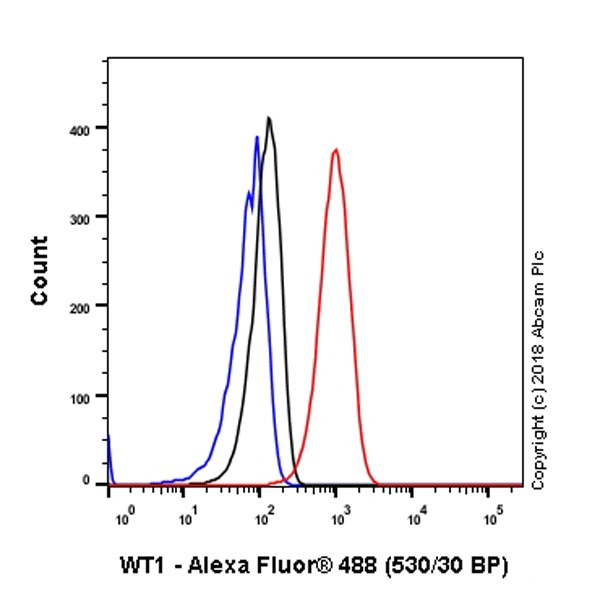 Flow Cytometry (Intracellular) - Anti-Wilms Tumor Protein antibody [CAN-R9(IHC)-56-2] - BSA and Azide free (AB216646), expandable thumbnail