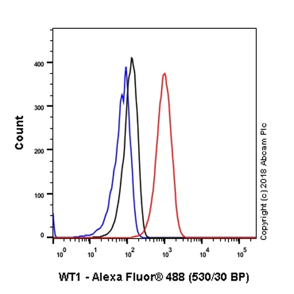 Flow Cytometry (Intracellular) - Anti-Wilms Tumor Protein antibody [CAN-R9(IHC)-56-2] - BSA and Azide free (AB216646)