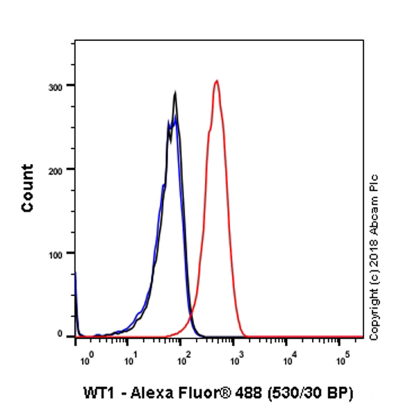 Flow Cytometry (Intracellular) - Anti-Wilms Tumor Protein antibody [SP320] - BSA and Azide free (AB242423), expandable thumbnail