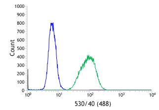 Flow Cytometry (Intracellular) - Anti-Wilms Tumor Protein antibody [SP320] - BSA and Azide free (AB242423), expandable thumbnail