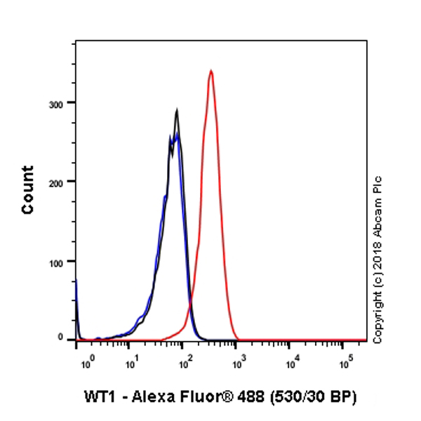 Flow Cytometry (Intracellular) - Anti-Wilms Tumor Protein antibody [SP321] (AB224806), expandable thumbnail