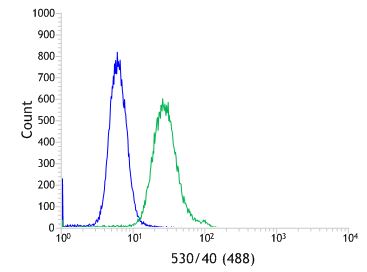 Flow Cytometry (Intracellular) - Anti-Wilms Tumor Protein antibody [SP321] (AB224806), expandable thumbnail