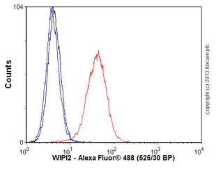 Flow Cytometry (Intracellular) - Anti-WIPI2 antibody [2A2] (AB105459)