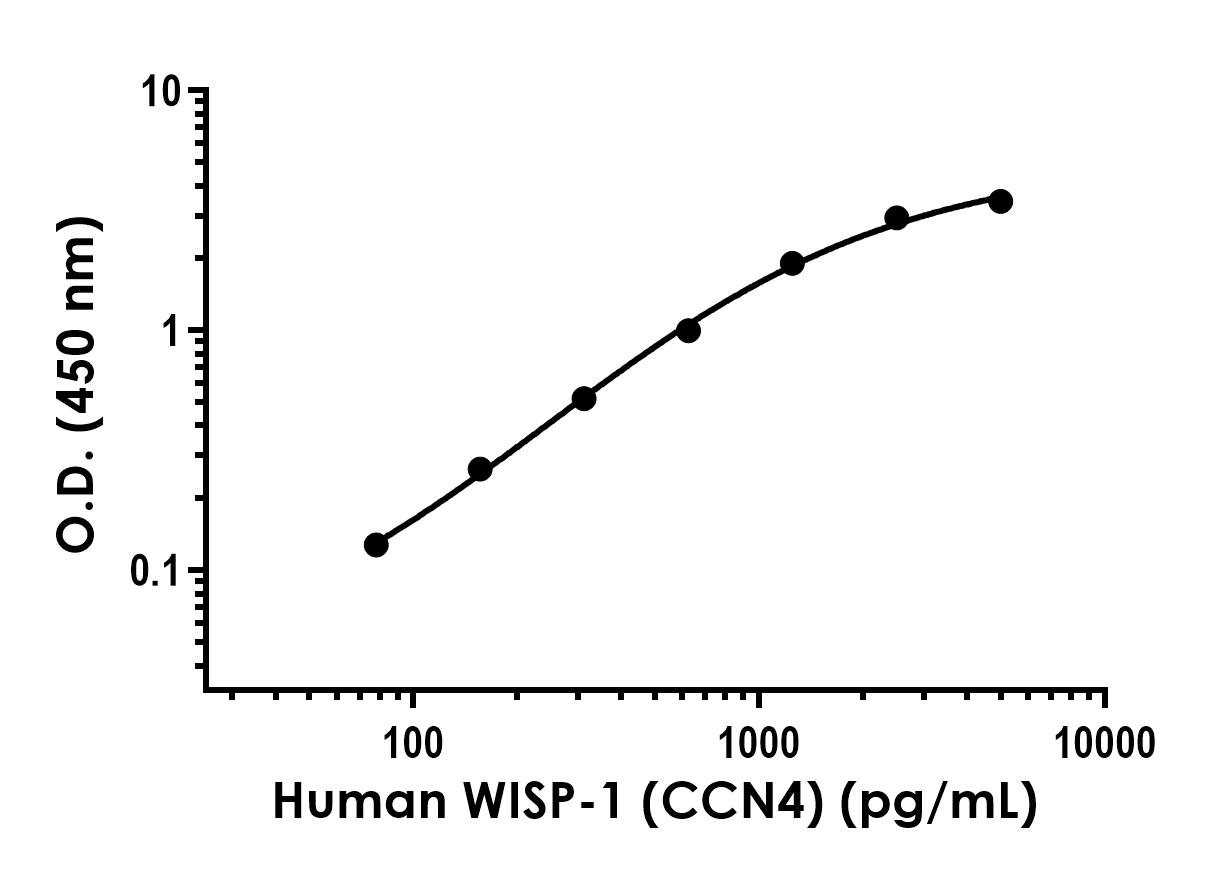 Sandwich ELISA - Anti-WISP1 antibody [EPR22891-92] - BSA and Azide free (Capture) (AB281140)
