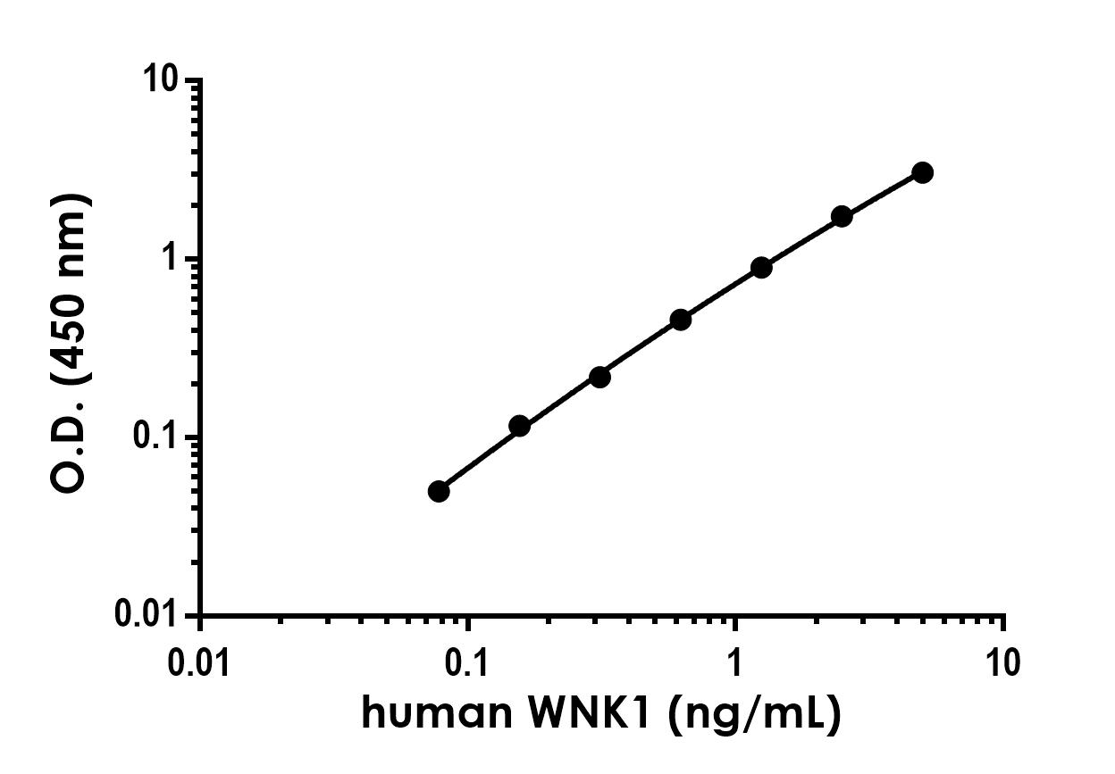 Sandwich ELISA - Anti-WNK1 antibody [EPR24632-117] - BSA and Azide free (Detector) (AB302754), expandable thumbnail