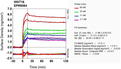 OI-RD Scanning - Anti-Wnt16 antibody [EPR6064] (AB109437)