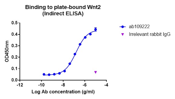 Indirect ELISA - Anti-Wnt2/IRP antibody [EPR3101(2)] (AB109222), expandable thumbnail