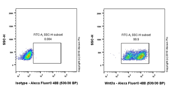 Flow Cytometry (Intracellular) - Anti-Wnt3a antibody [EPR21889] - BSA and Azide free (AB234099), expandable thumbnail