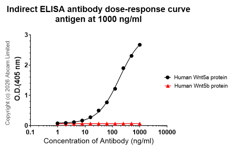 Indirect ELISA - Anti-Wnt5a antibody [EPR29464-509] (AB325532)