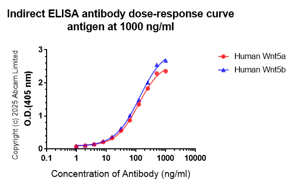 Indirect ELISA - Anti-Wnt5a/b antibody [EPR29464-527] (AB325179)