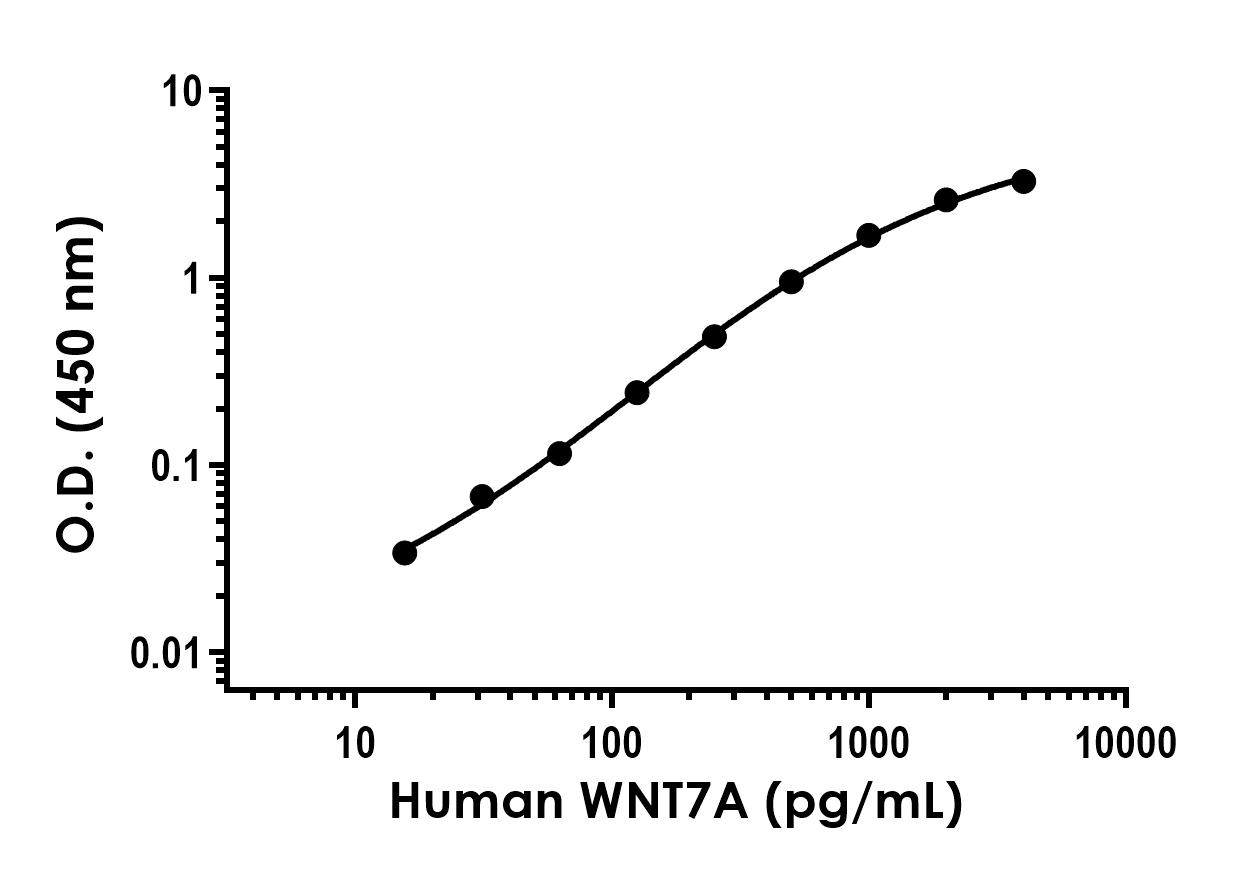 Sandwich ELISA - Anti-Wnt7a antibody [EPR23471-170] - BSA and Azide free (Capture) (AB281167), expandable thumbnail