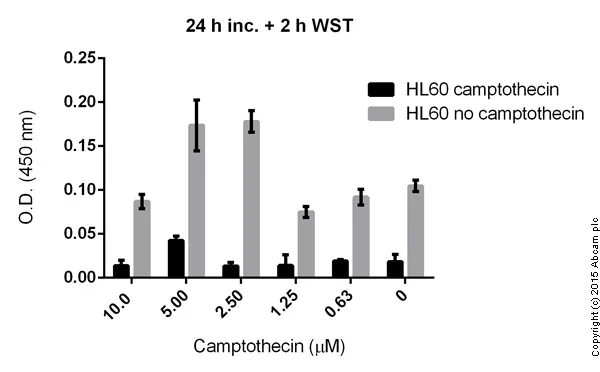 Functional Studies (Act) - WST-8 Assay Kit (Cell Proliferation) (AB65475)