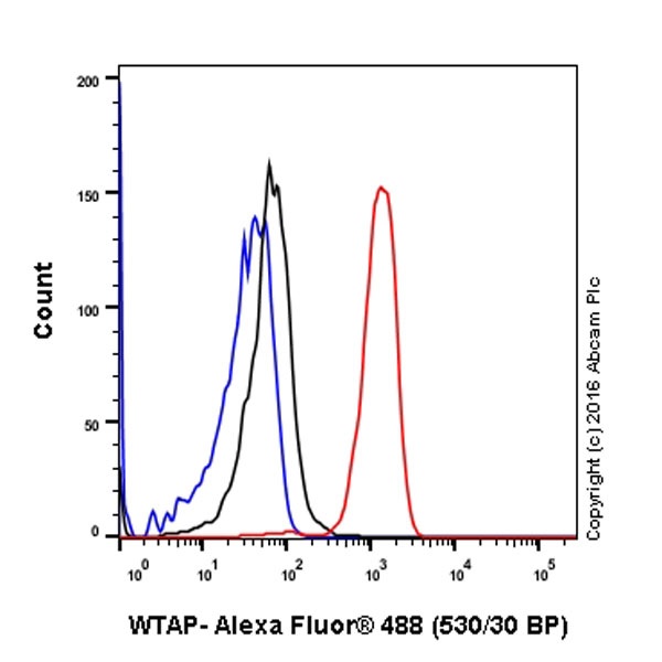 Flow Cytometry (Intracellular) - Anti-WTAP antibody [EPR18744] - BSA and Azide free (AB232392), expandable thumbnail