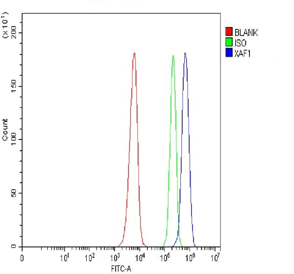 Flow Cytometry (Intracellular) - Anti-XAF1 antibody (AB81353)