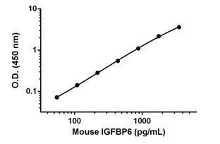 Sandwich ELISA - Anti-XAF1 antibody [EPR26960-76] - BSA and Azide free (Detector) (AB307463)