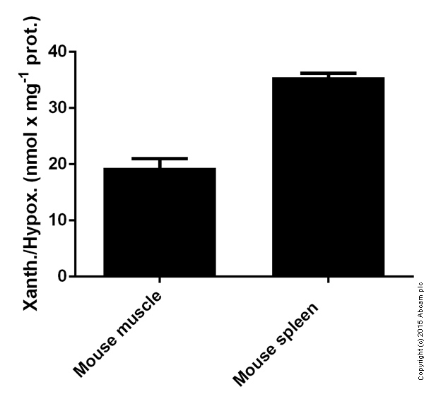 Functional Studies - Xanthine/Hypoxanthine Assay Kit (AB155900)