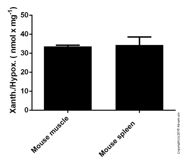 Functional Studies - Xanthine/Hypoxanthine Assay Kit (AB155900)