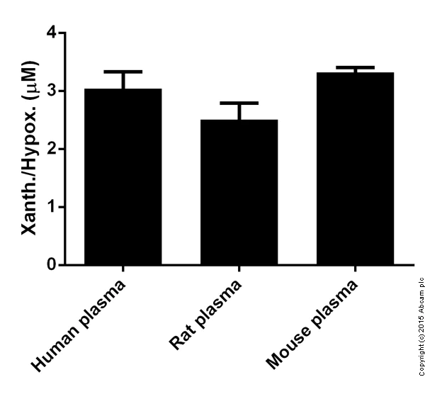 Functional Studies - Xanthine/Hypoxanthine Assay Kit (AB155900)